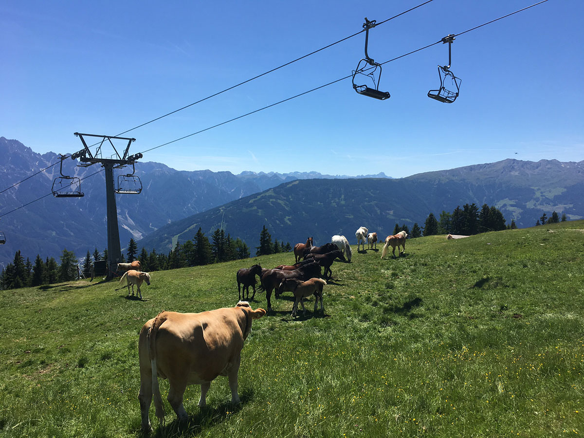 Hüttenurlaub in Osttirol