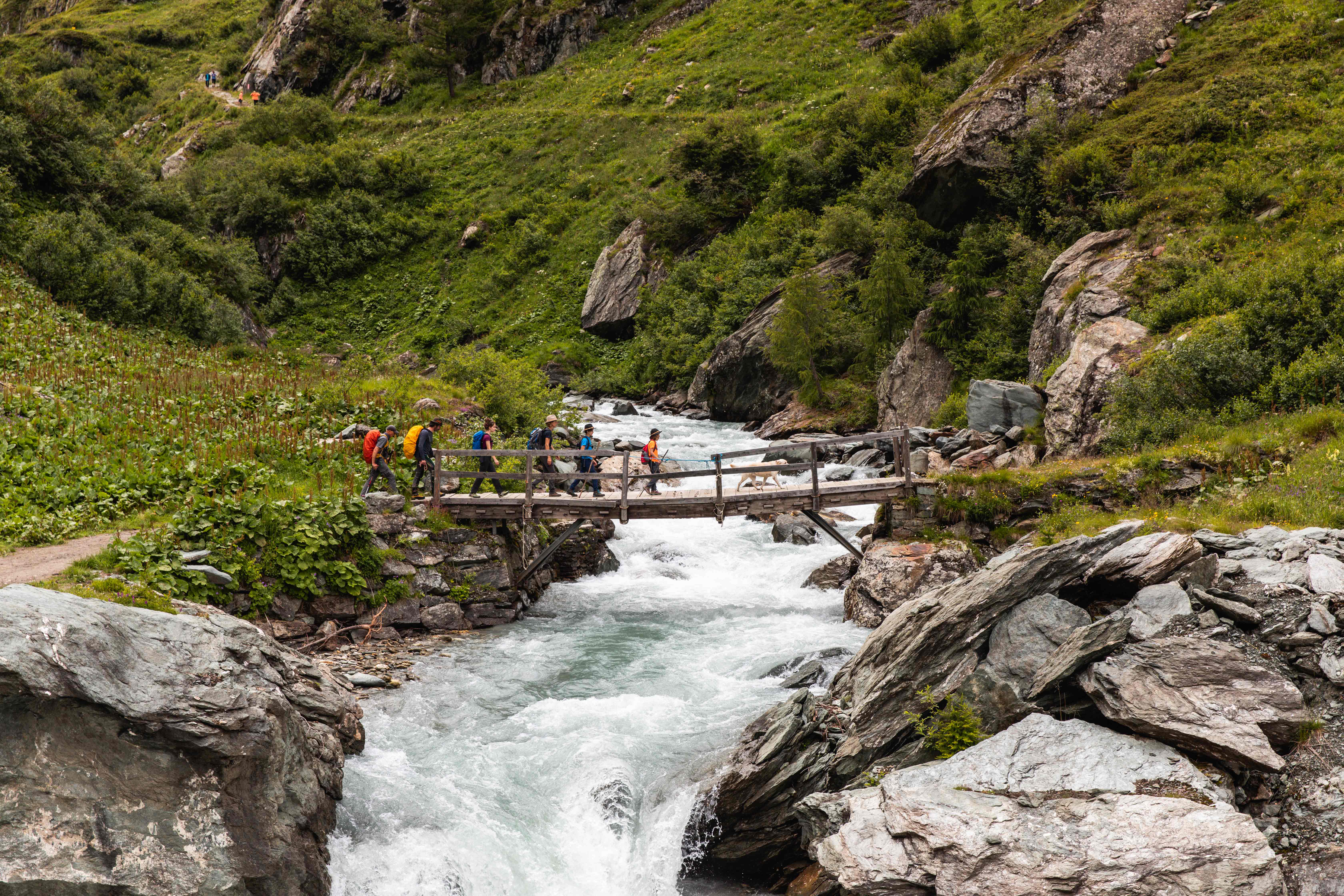 iseltrail-bruecke-c-ramona-waldner