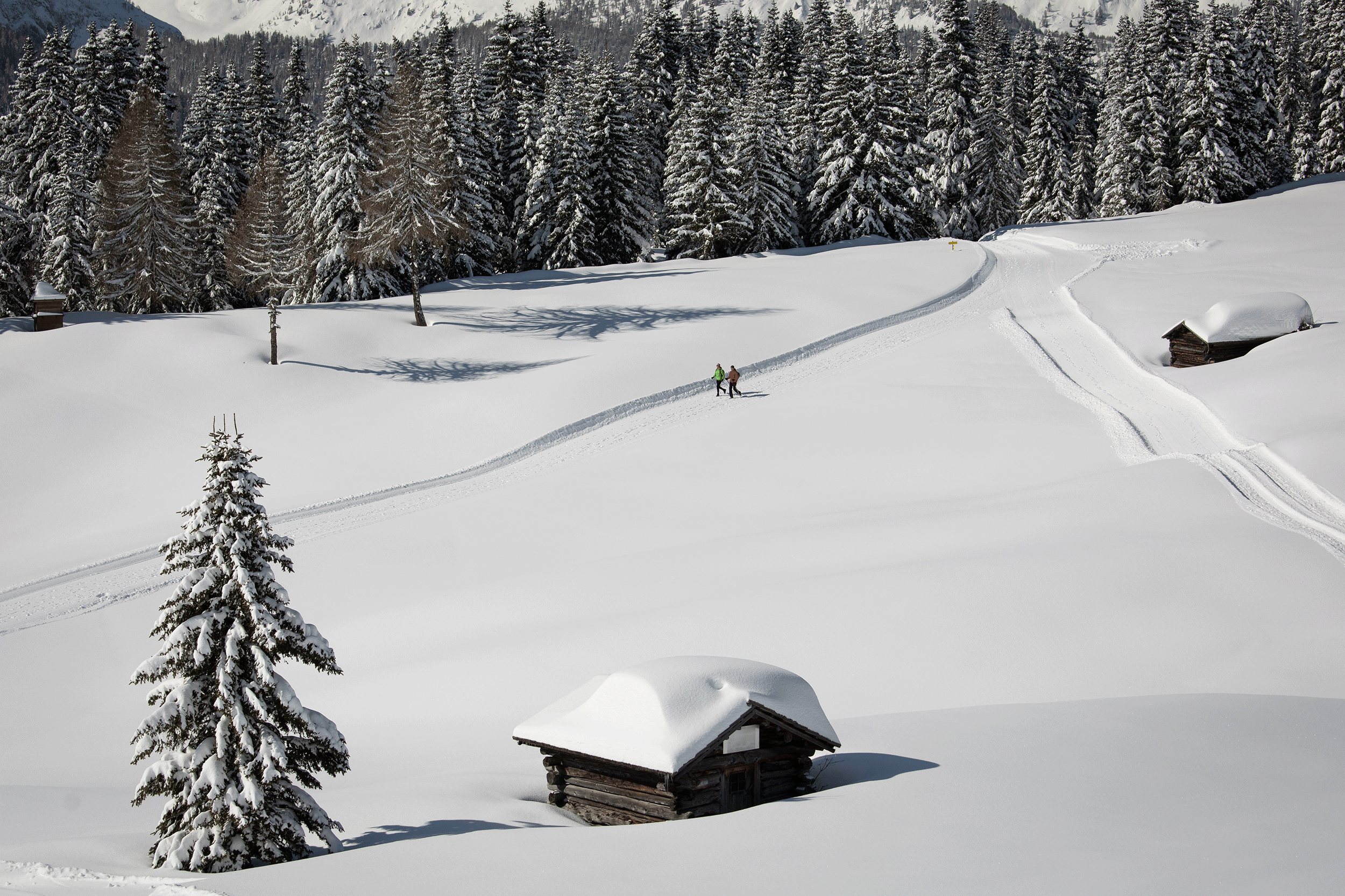 winterwandern-kartitsch-dorfberg