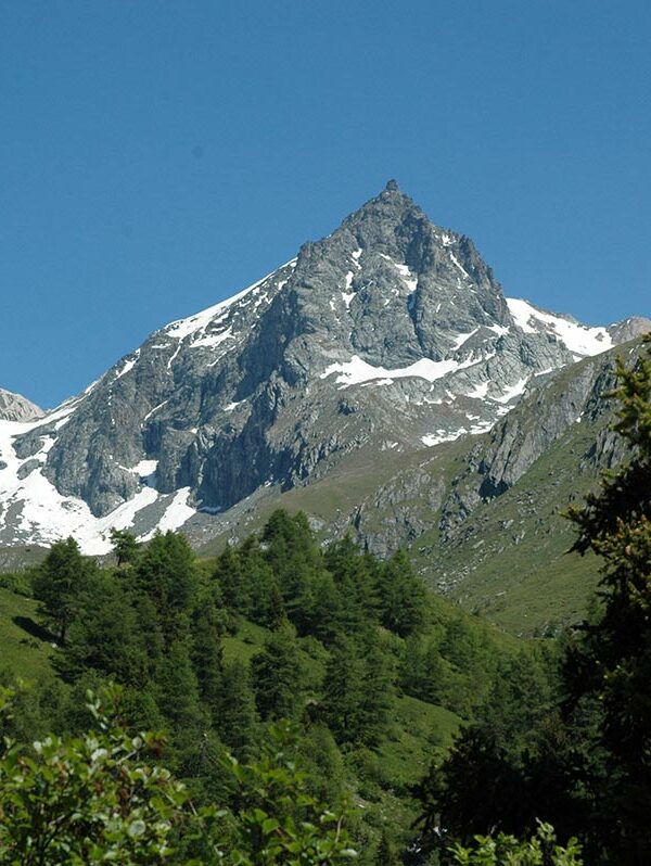 HEIMat ist da, wo ……….