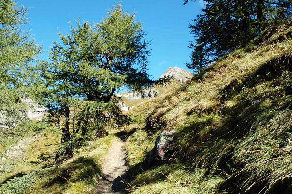 Wunderschönes Herbstwetter mit klarer Bergluft.