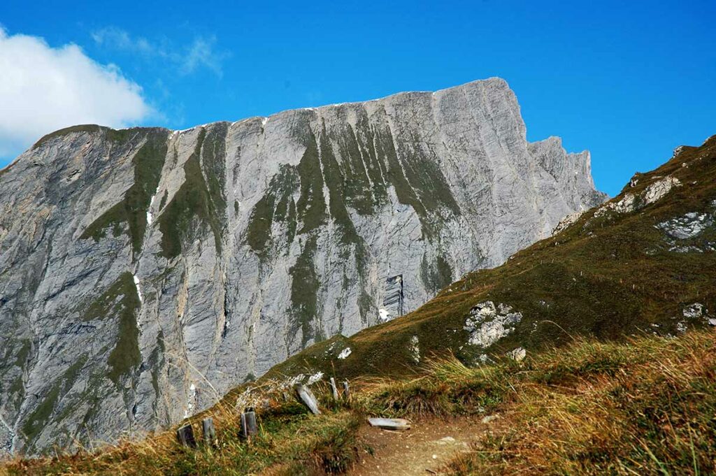 Die Freiwand - ein toller Anblick.