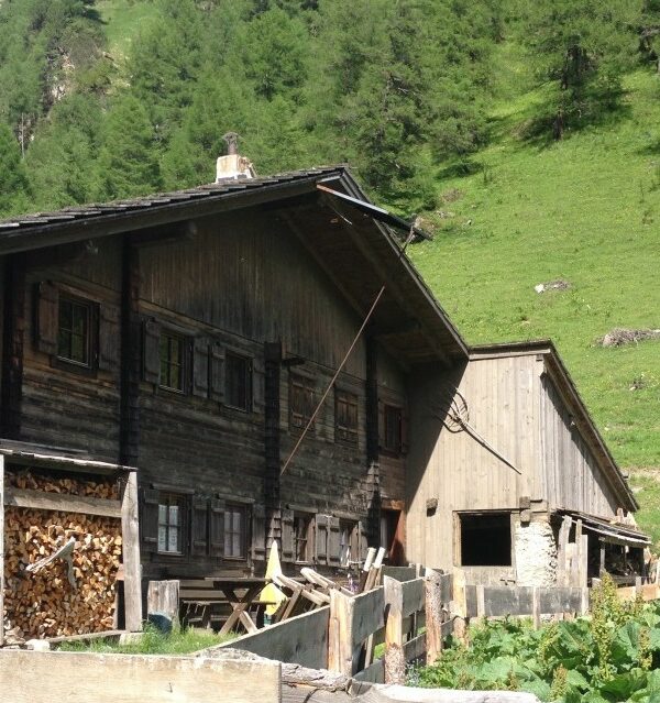 Almsommer in Osttirol: Auf da Alm do gib’s koa Sünd‘
