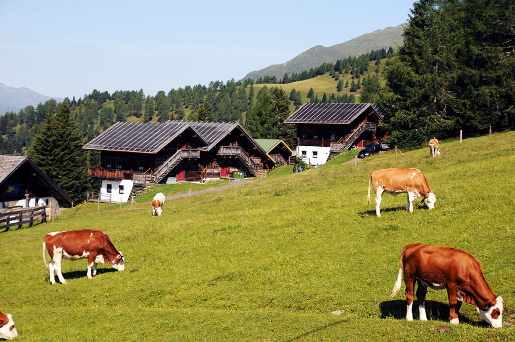 vorbei am Almdorf geht es mit dem Sessellift weiter nach oben