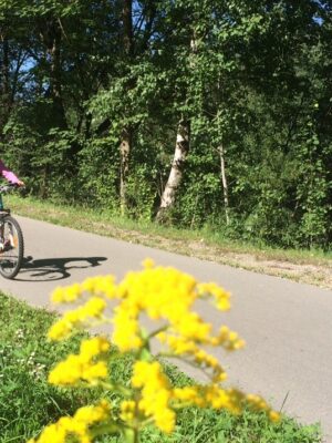 Unterwegs am Drauradweg