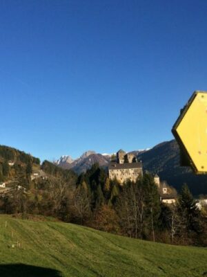 Natur hautnah – der Eichhörnchenweg in Sillian