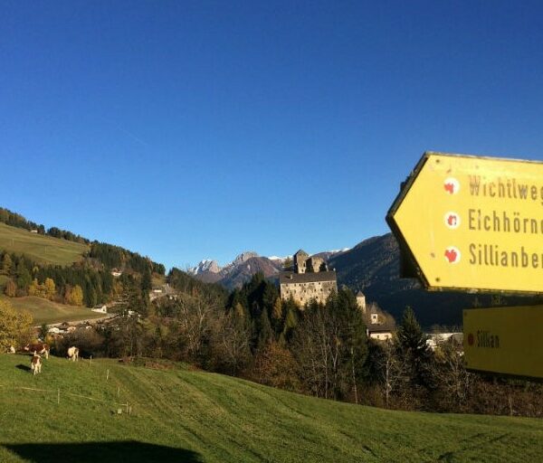 Natur hautnah – der Eichhörnchenweg in Sillian