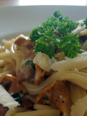 Spaghetti mit Eierschwammerl-Rahm Sauce