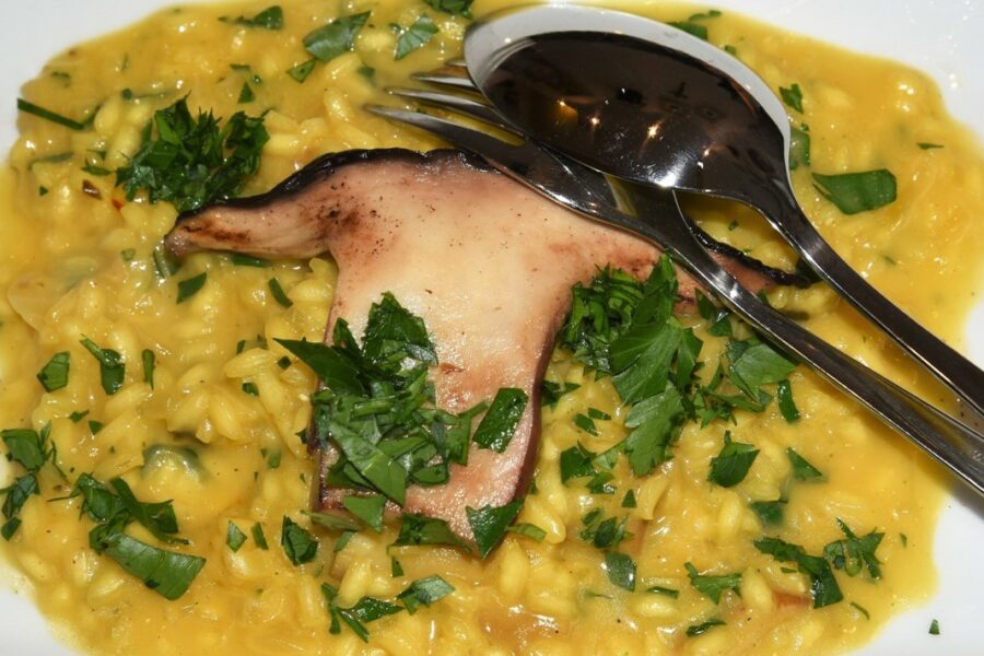 Steinpilzrisotto