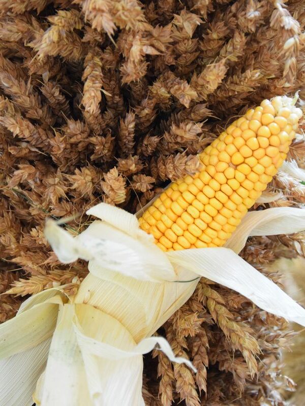 ErnteDANK – Goldener Herbst, gefüllte Körbe