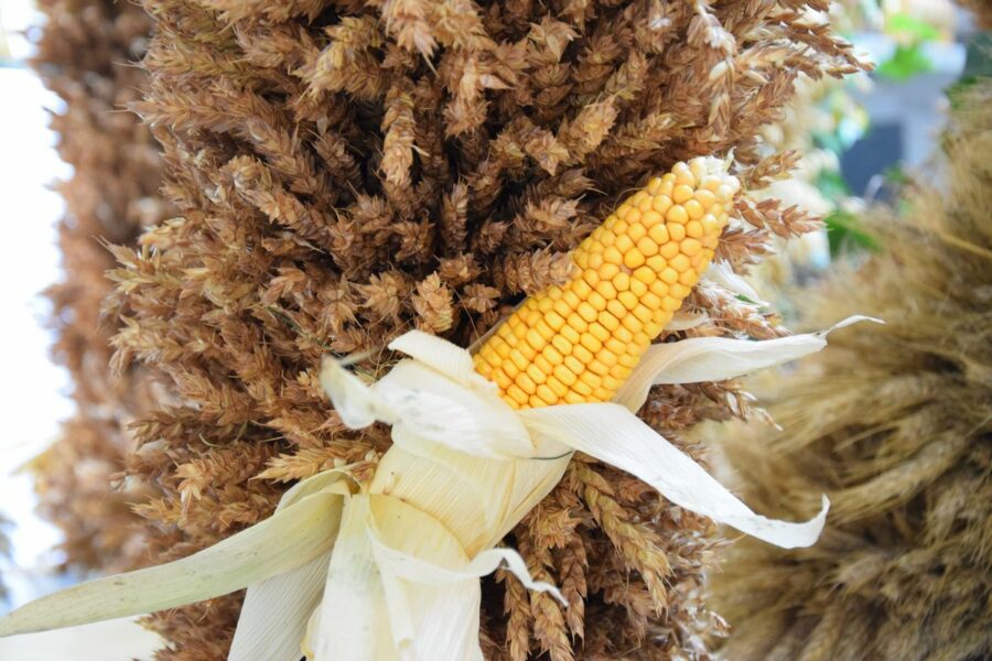 ErnteDANK – Goldener Herbst, gefüllte Körbe