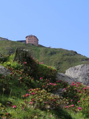 Sillianer Hütte – raus aus dem Alltag, rein ins Bergleben