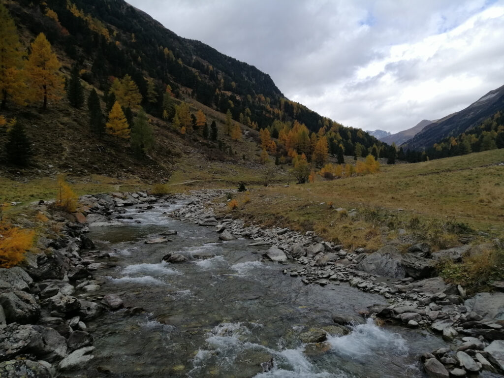 bach-im-zirbenwald