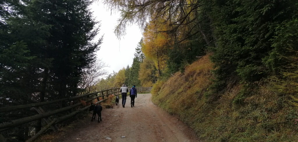 parkplatz-jösn-zedlacher-paradies