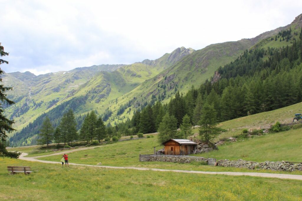 Oberstalleralm