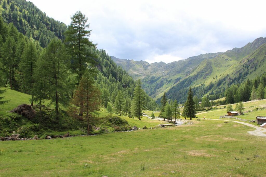 Wandern_Oberstalleralm