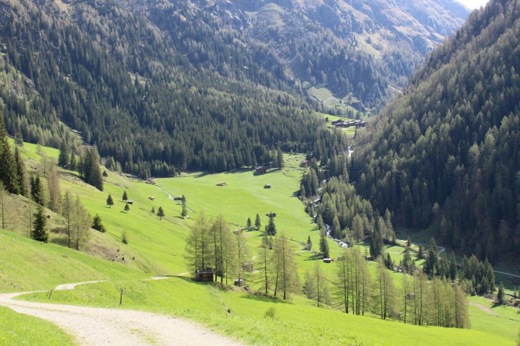 Blick_Oberstalleralm