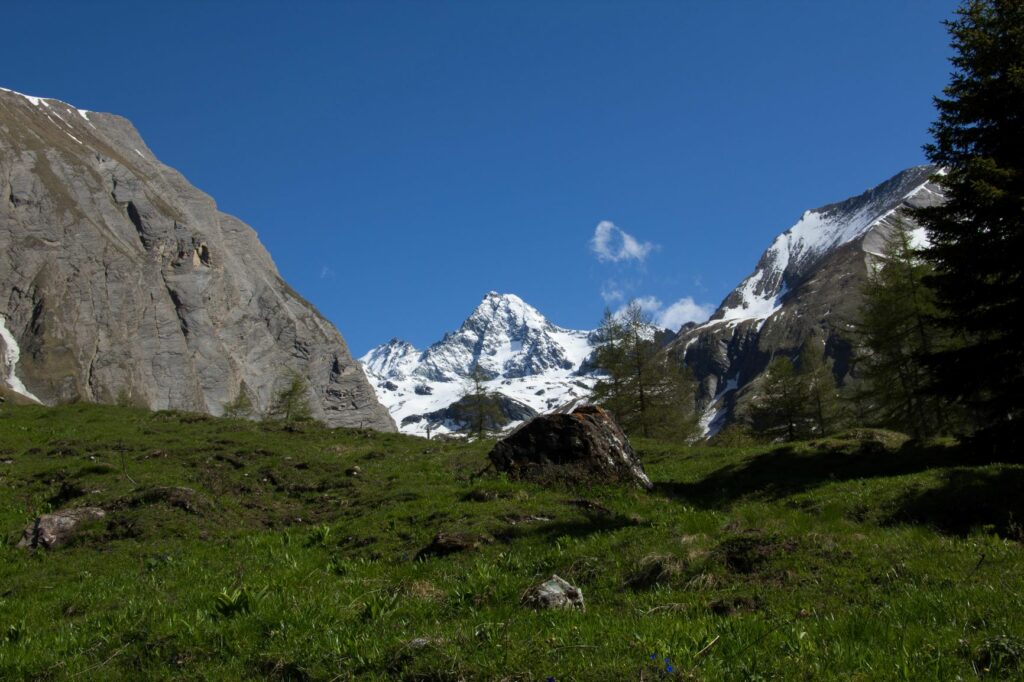 murmeltierblog-grossglockner-c-nationalparkhohetauern-simon-zeiner