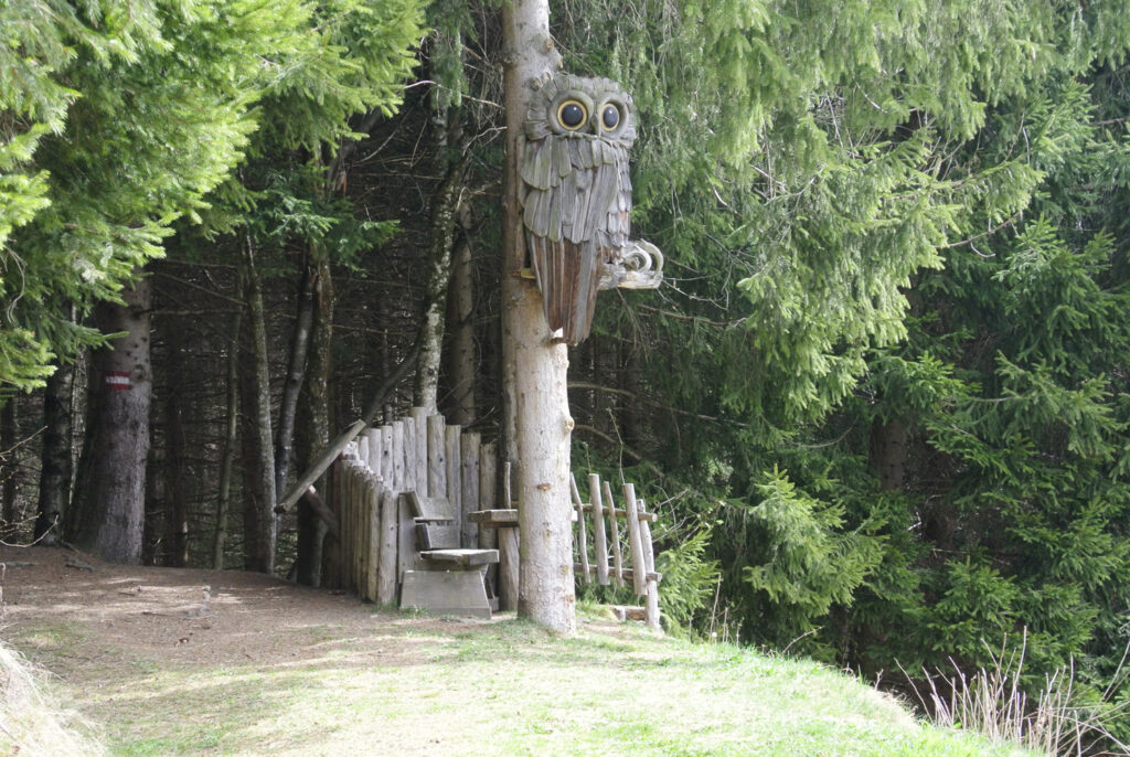 frühjahrstouren-vogelerlebnisweg