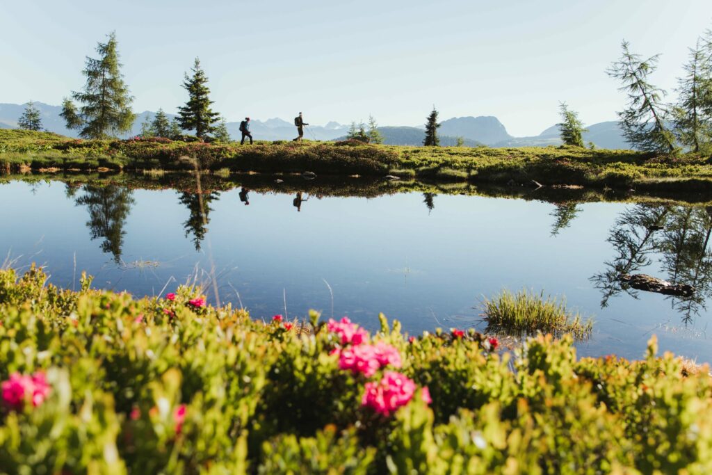 wandern-oefenspitze