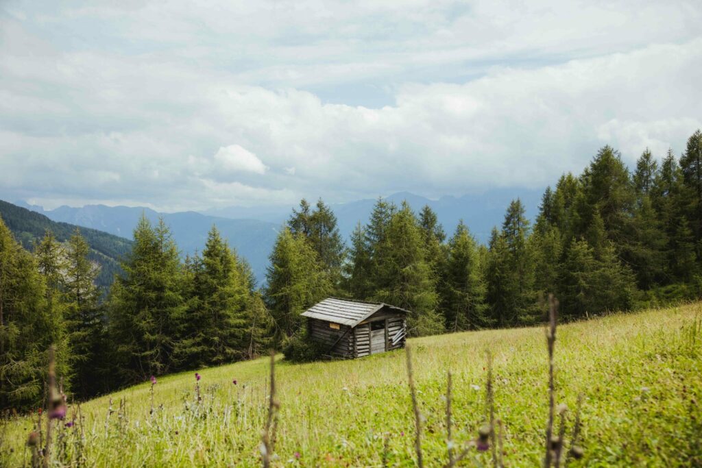 thurntaler-wiesen-hütten-villgratental