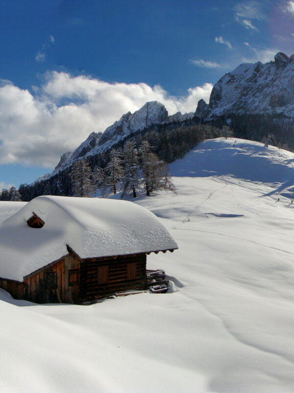 Ein Traumtag im Winterwunderland