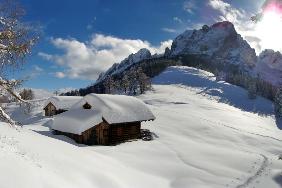 Ein Traumtag im Winterwunderland