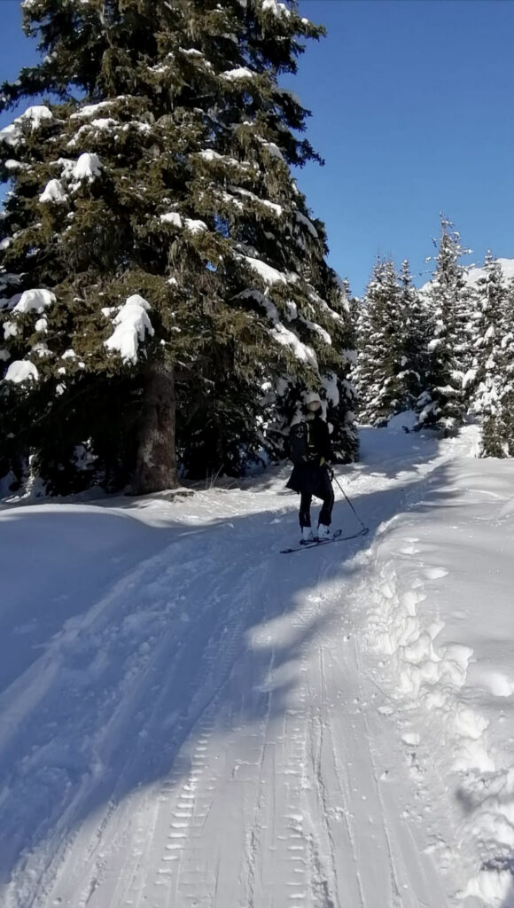 Skitour durch den verschneiten Wald