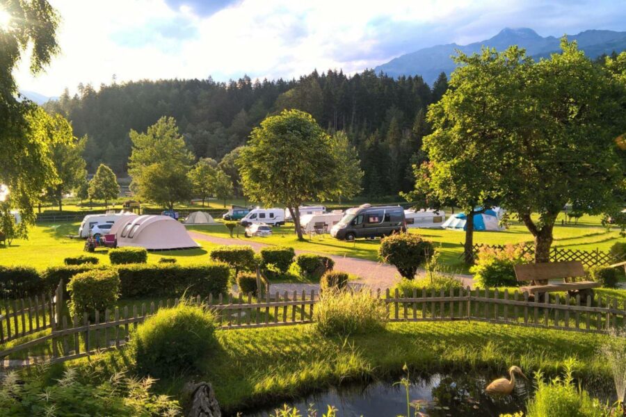 Camping mit Hund: Naturgenuss & Glücksgefühle für vier Pfoten.