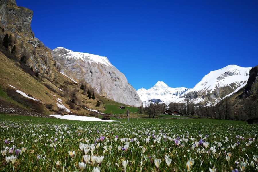 Frühlingserwachen im Nationalpark Hohe Tauern