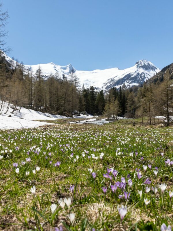 Frühlingsgefühle in Wanderschuhen: Die 5 schönsten Frühjahrstouren