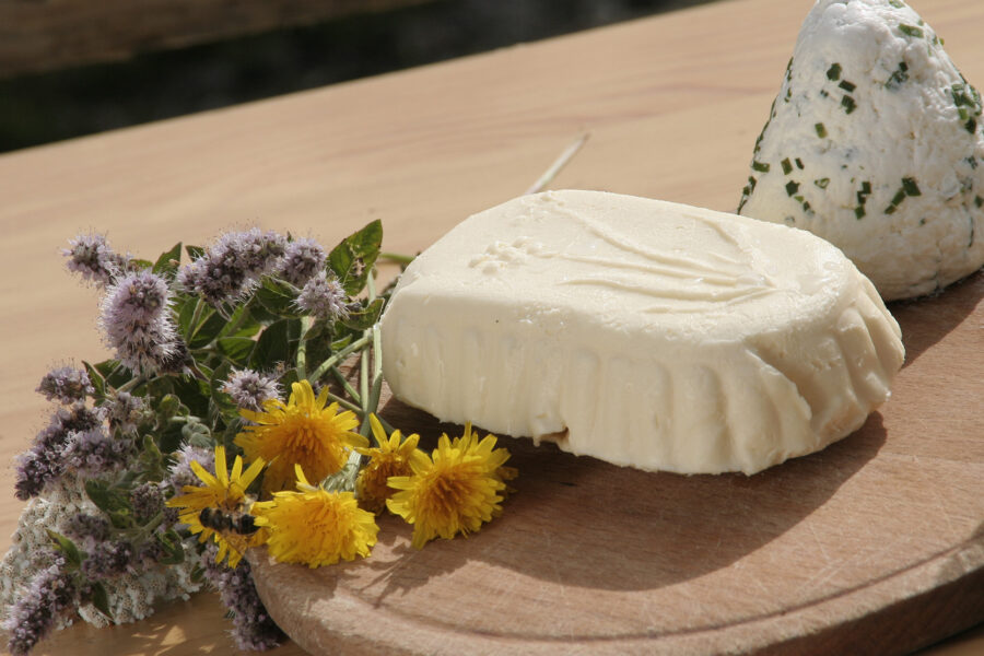 Alles in Butter. Hoferlebnisse im Tiroler Gail- und Lesachtal