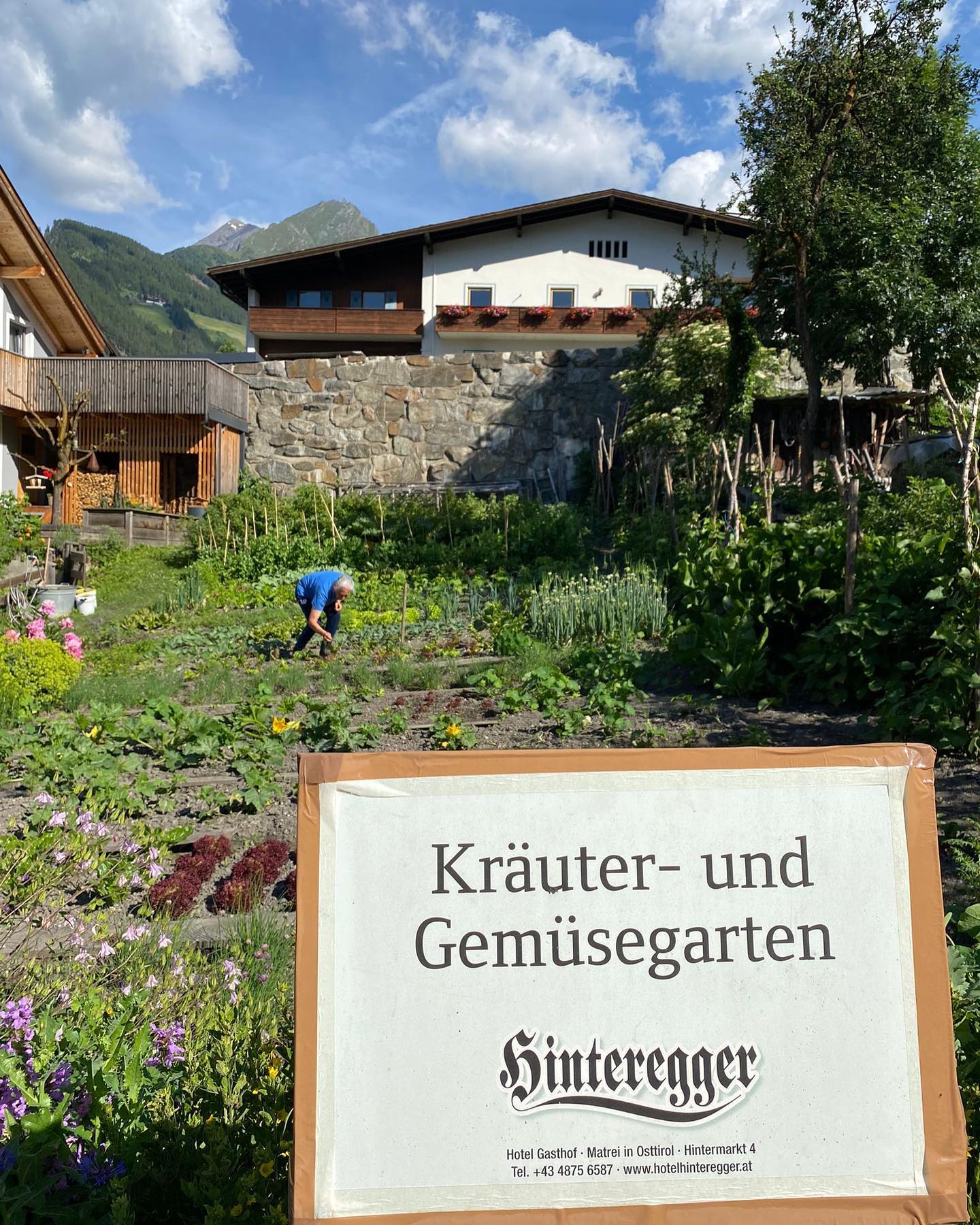 Kräuter und Gemüsegarten