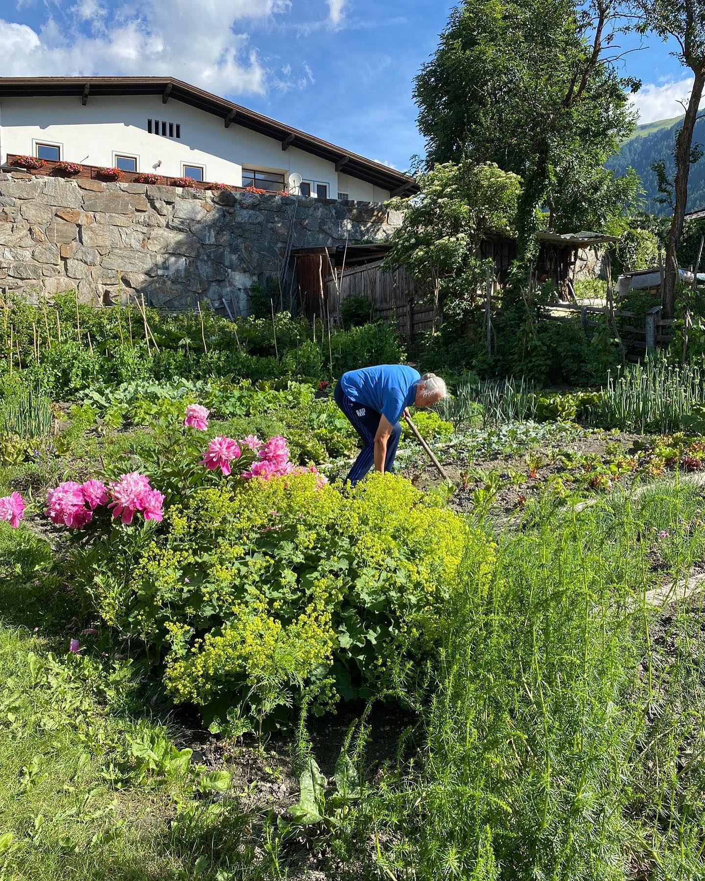 Gemüse und Kräutergarten