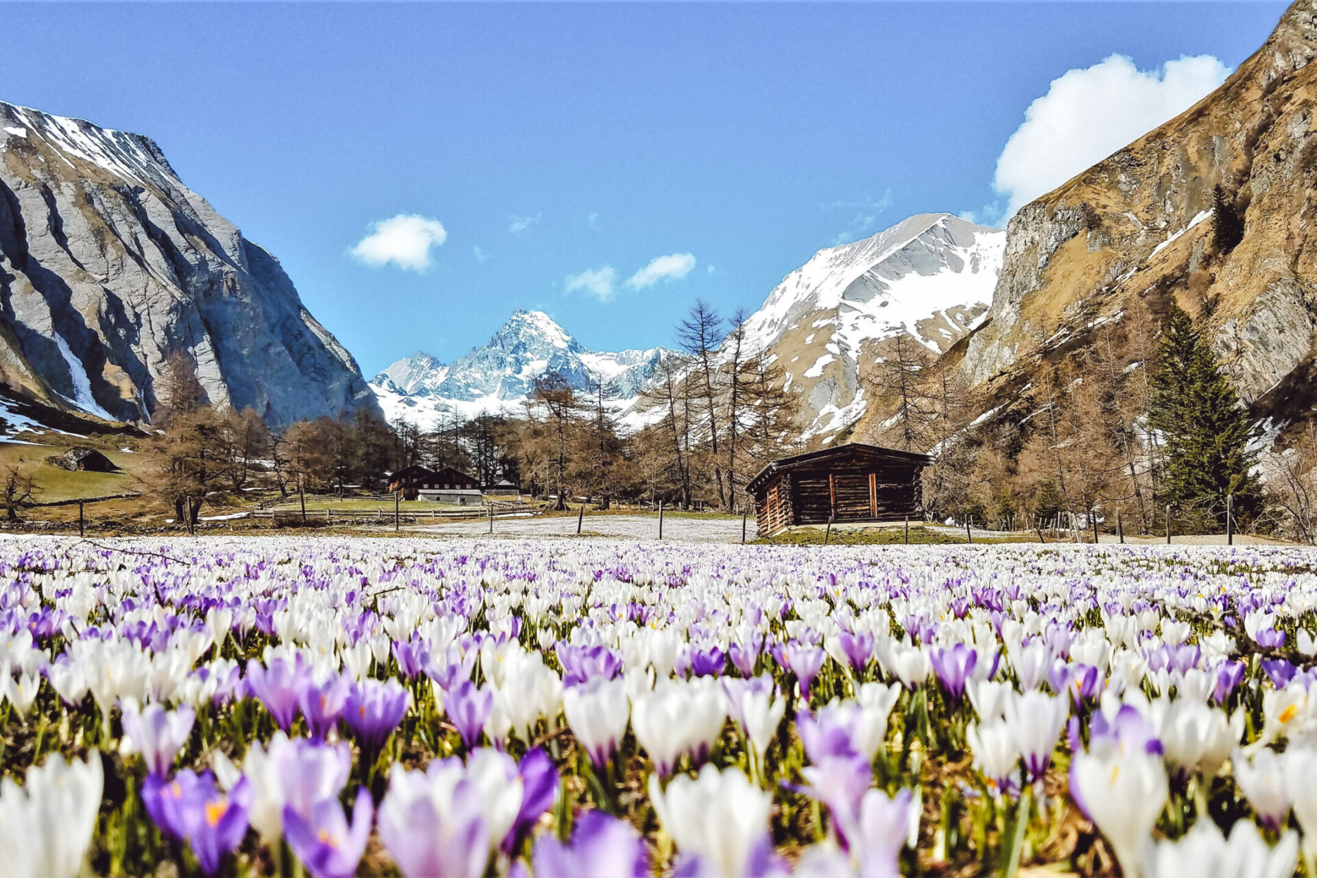 4 Must Sees im Osttiroler Frühling