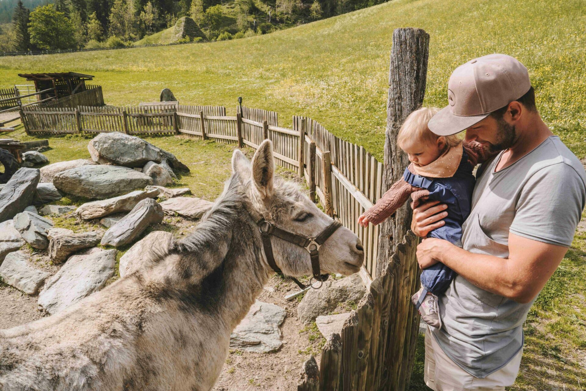 Deine naturnahe Familienauszeit in Osttirol