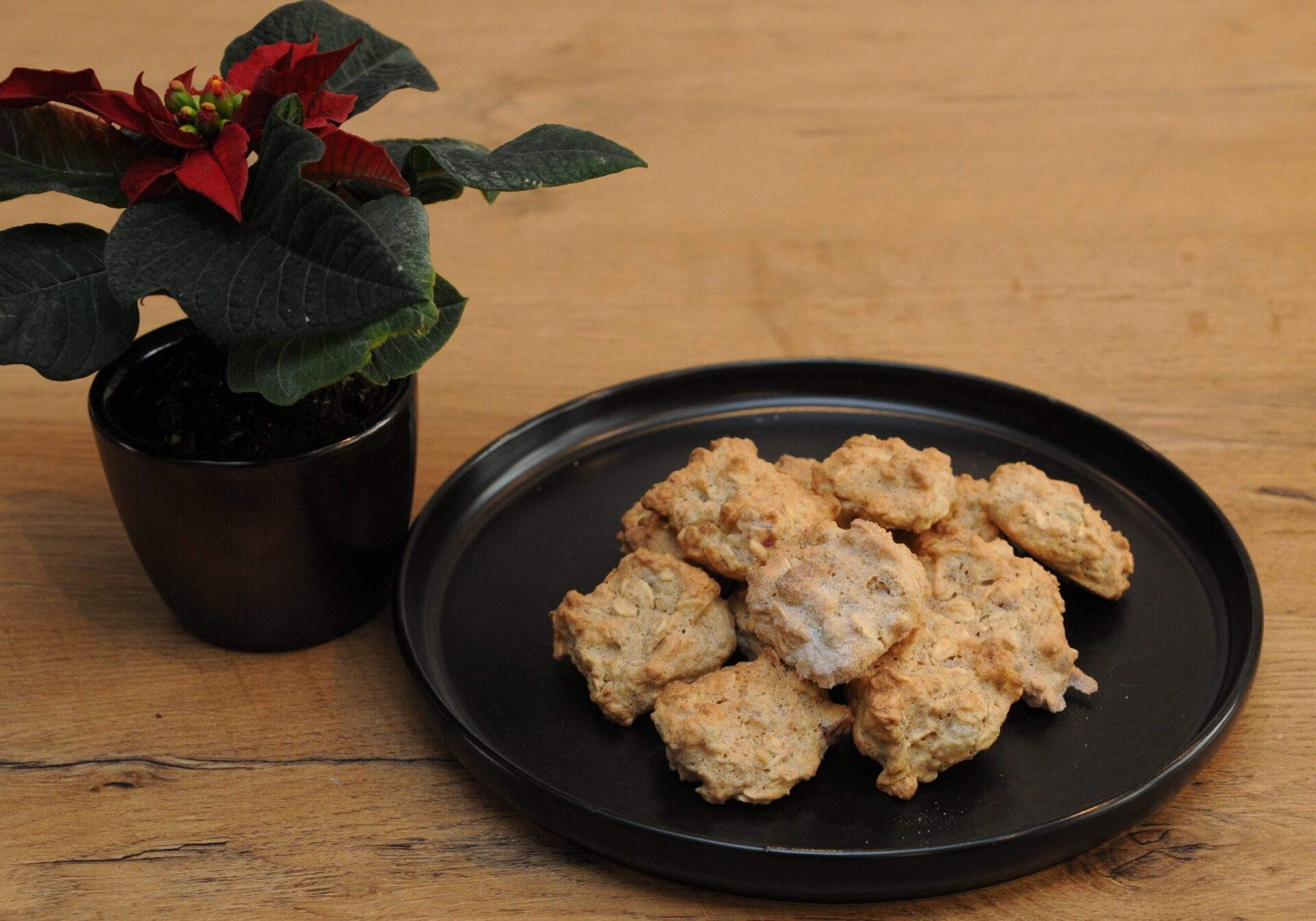 Mahlzeit Kernige Leckerlis