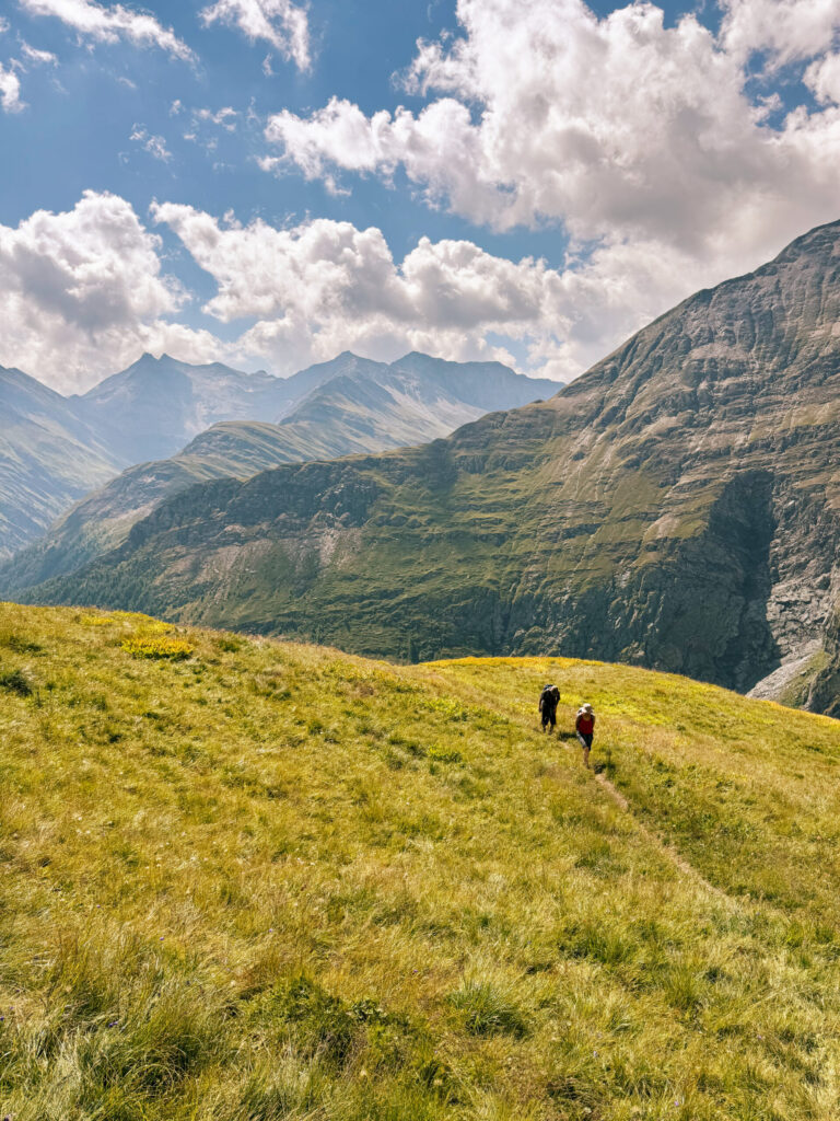 Zwei Personen wandern auf der Sommerlichen Alm zur Wiesbauerspitze