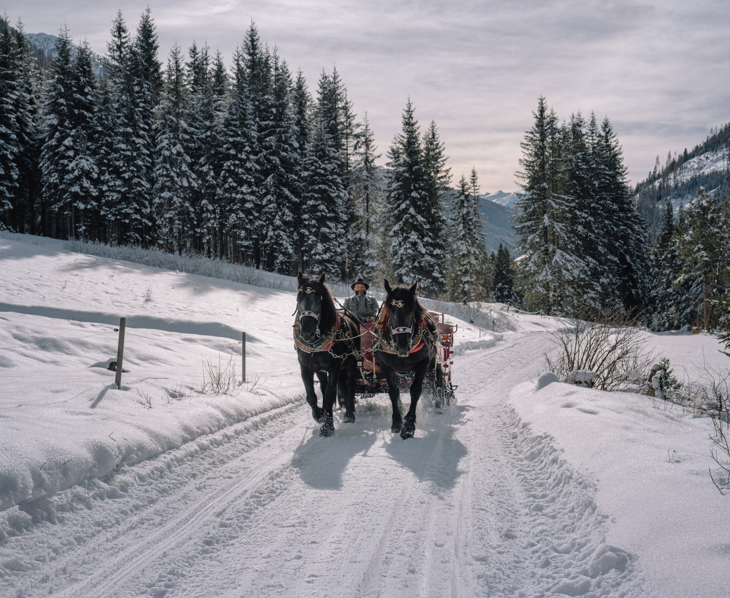 Pferdekutschenfahrt Winkeltal