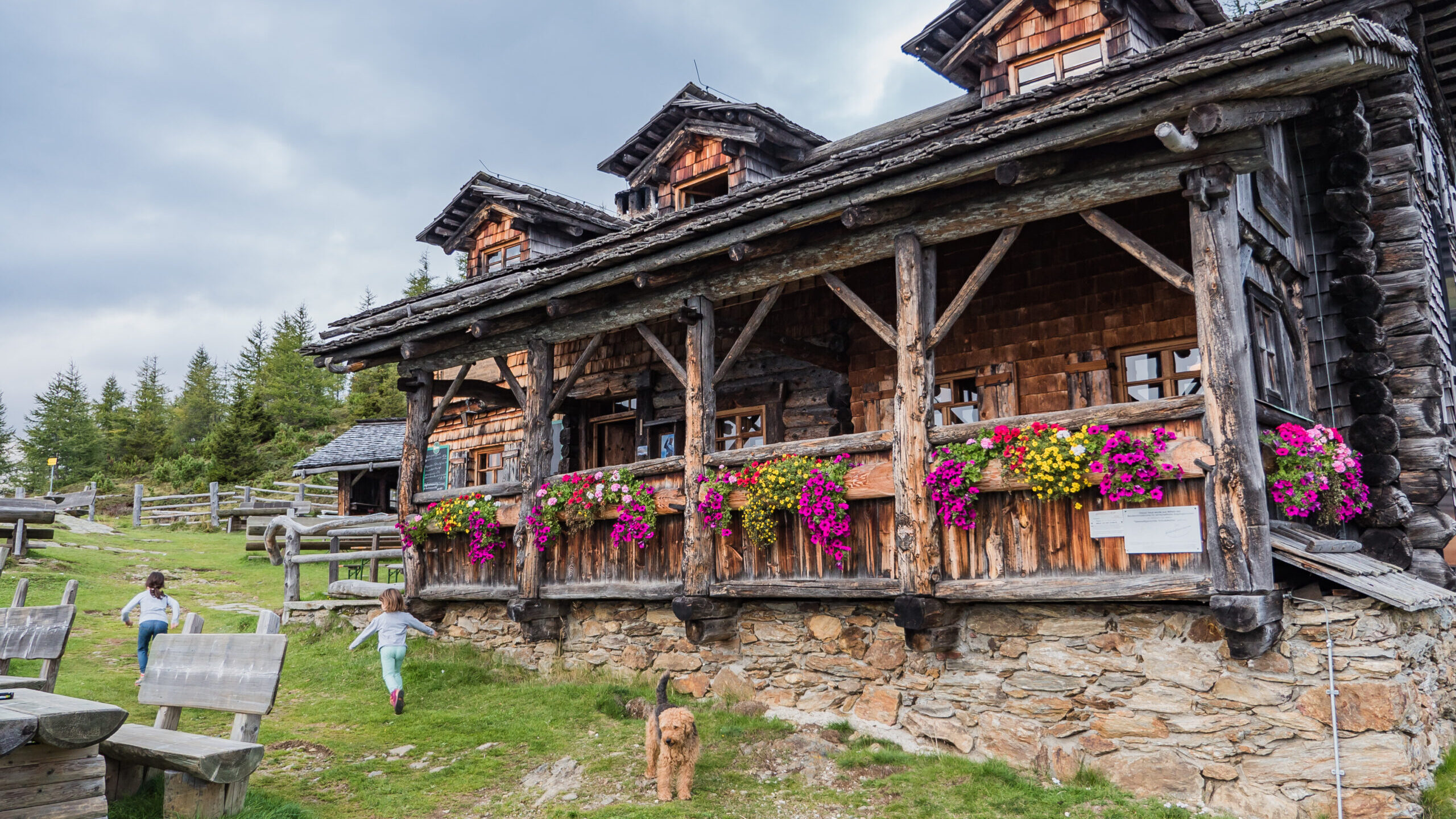 Das urige Anna-Schutzhaus am Ederplan über Lienz. Im Vordergrund spielen Kinder und ein Hund.