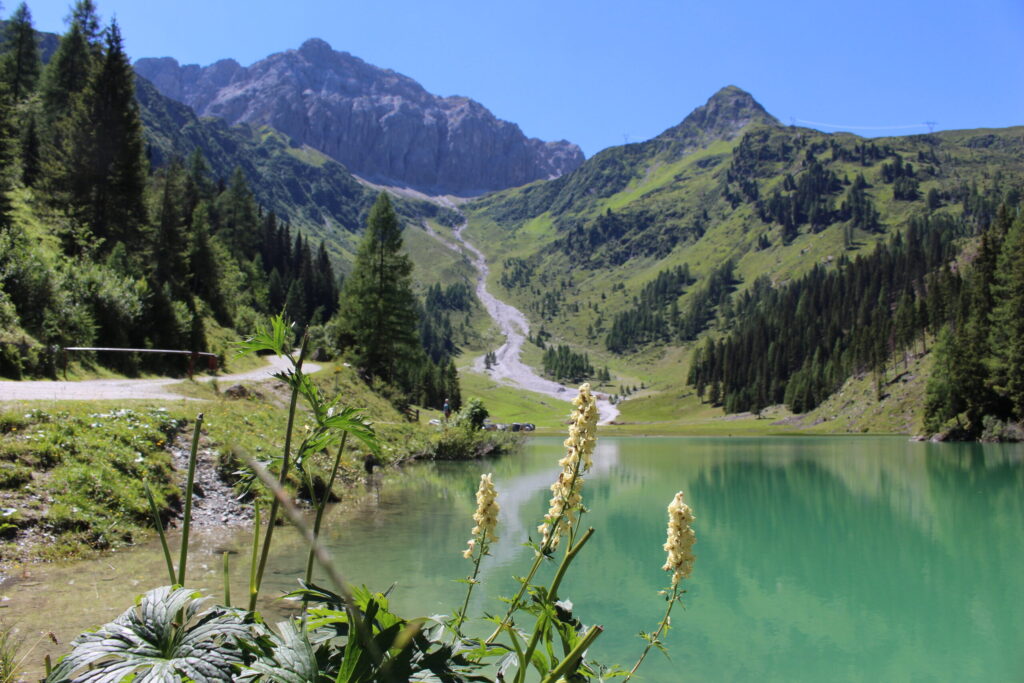 Das Naturjuwel Klapfsee im Dorfertal bei Obertilliach