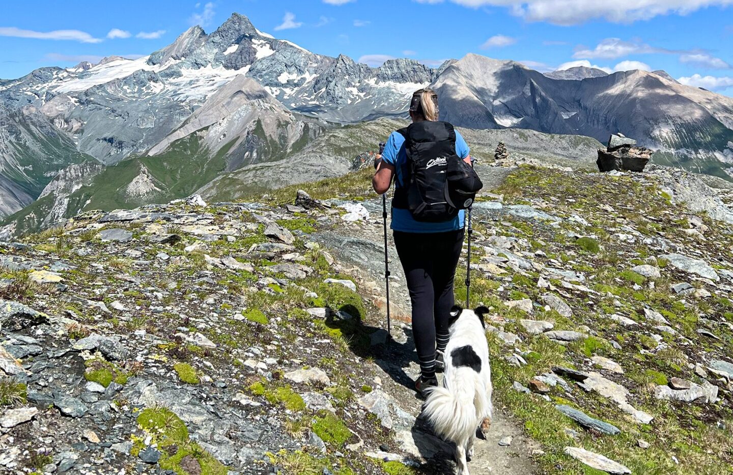 Auf 4 Pfoten durch Osttirol – warum Urlaub mit Hund hier so gut funktioniert