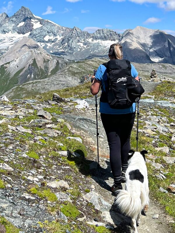 Auf 4 Pfoten durch Osttirol – warum Urlaub mit Hund hier so gut funktioniert
