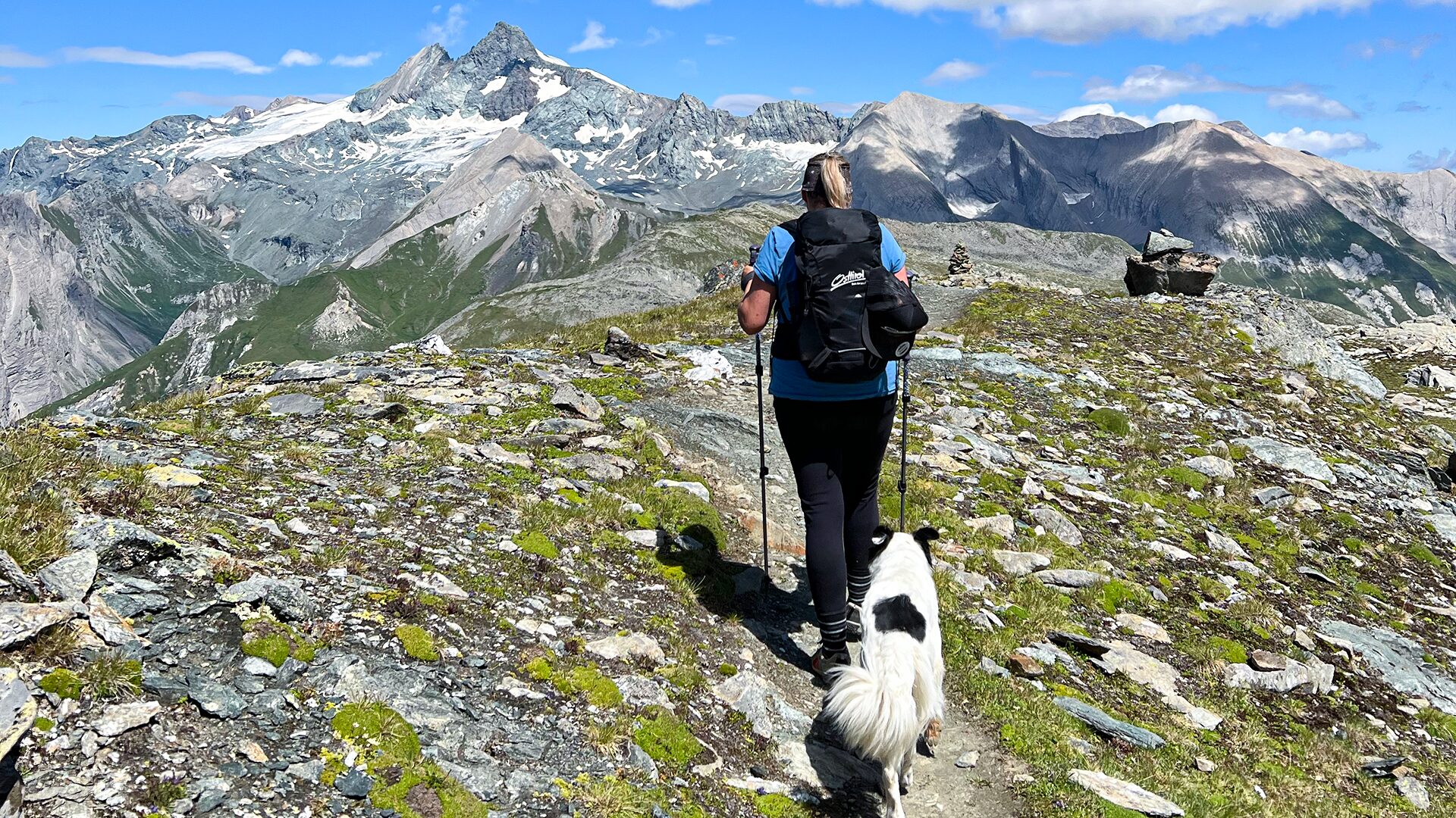 Auf 4 Pfoten durch Osttirol – warum Urlaub mit Hund hier so gut funktioniert