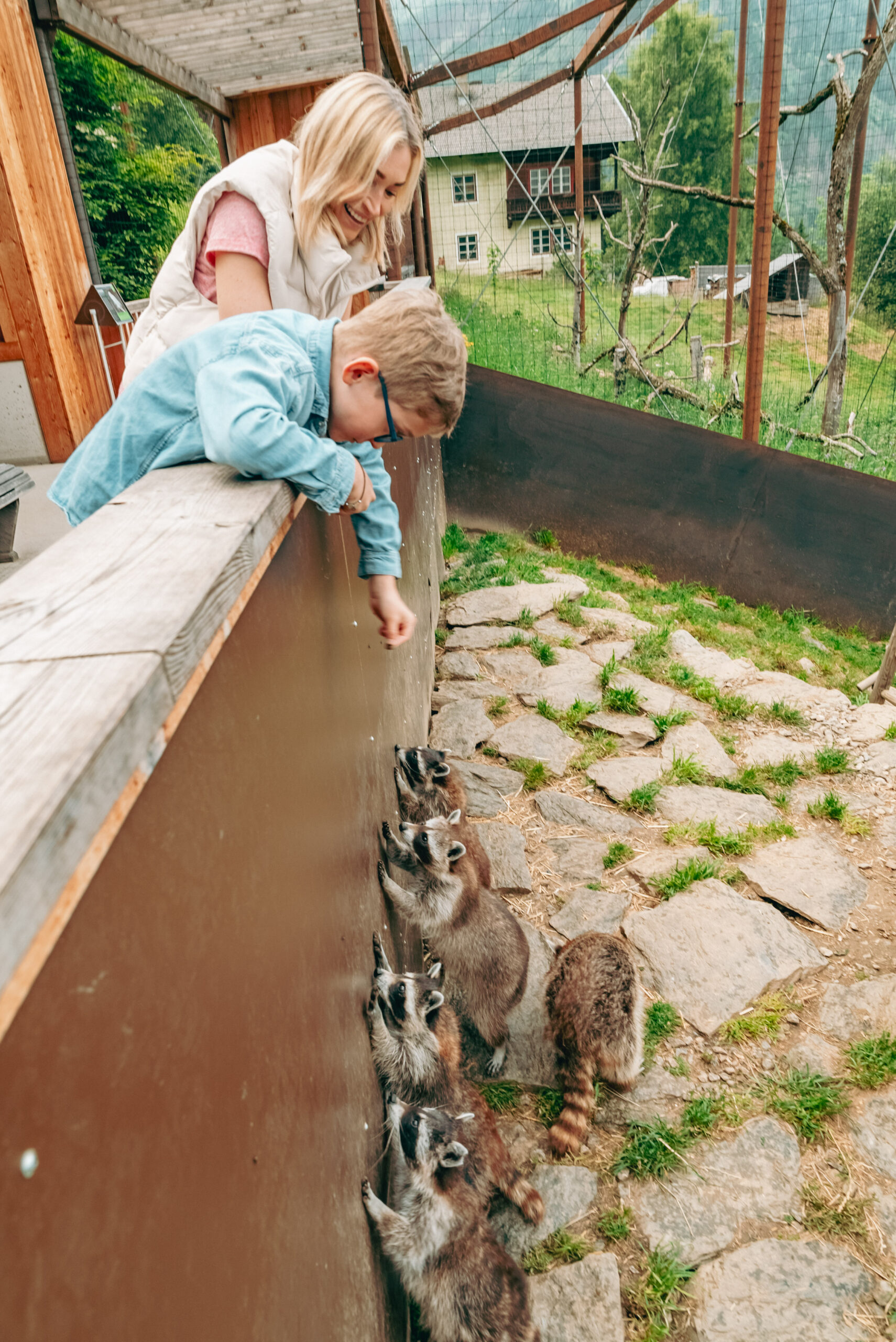 Wildpark Assling