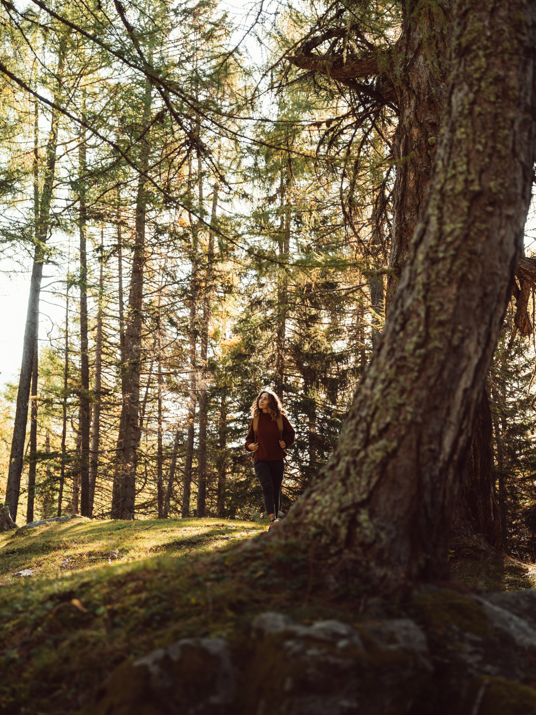 Herbstwanderung im Zedlacher Paradies.