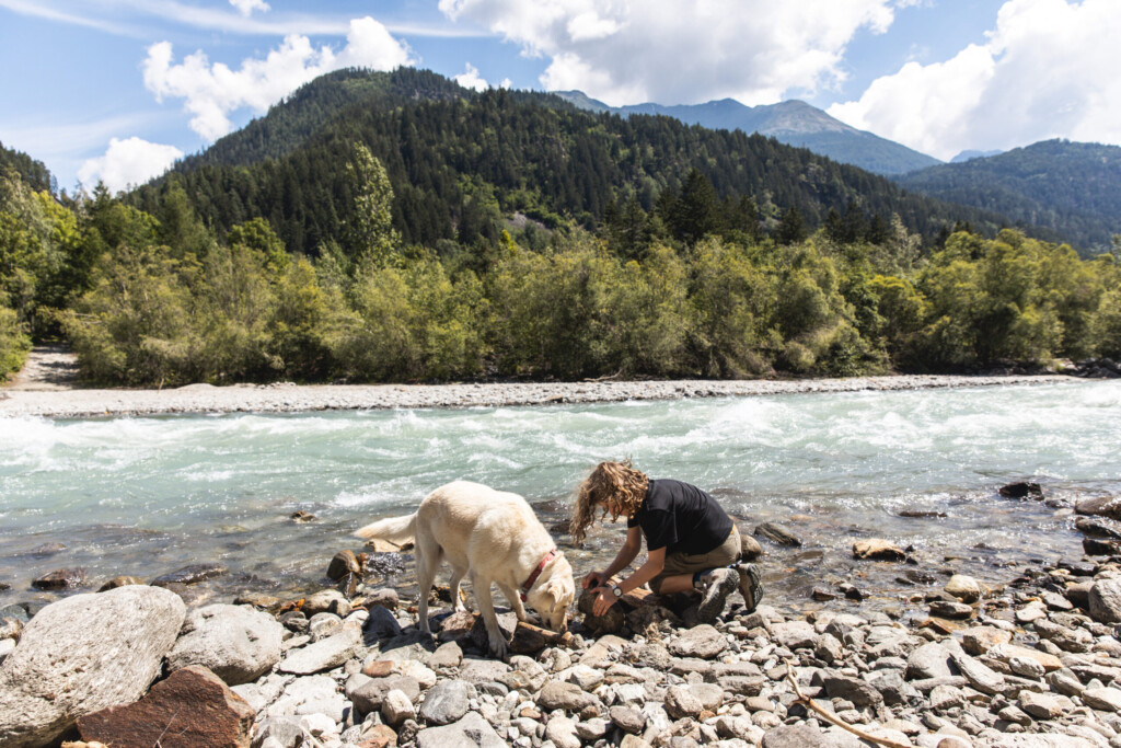 Hund an der Isel