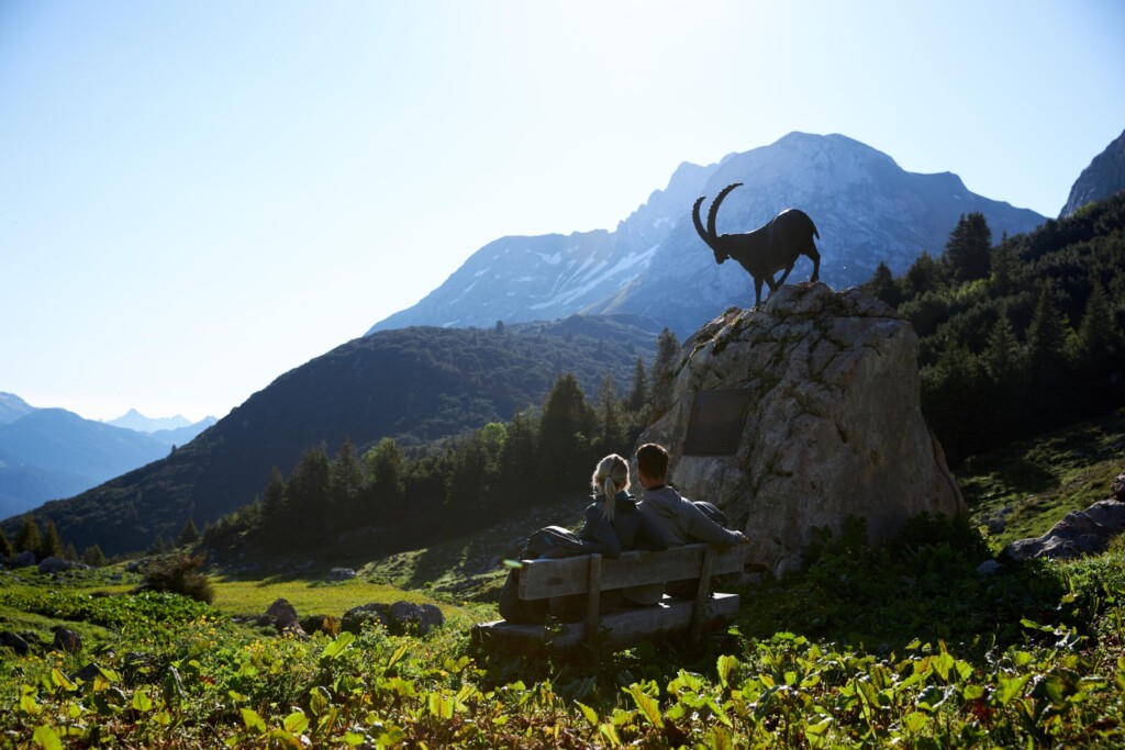 Steinbock beim Lechweg