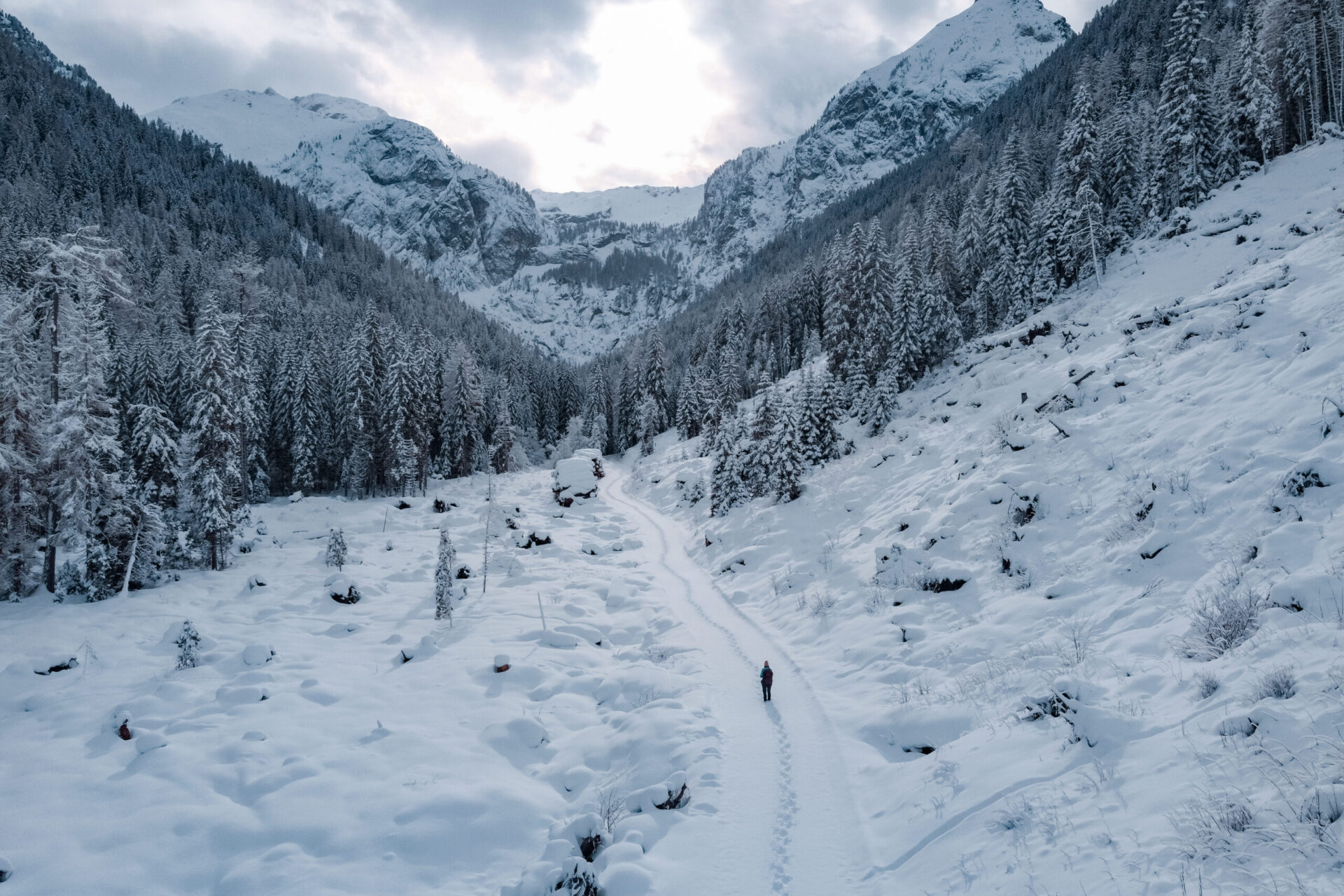 Wintermomente, die bleiben