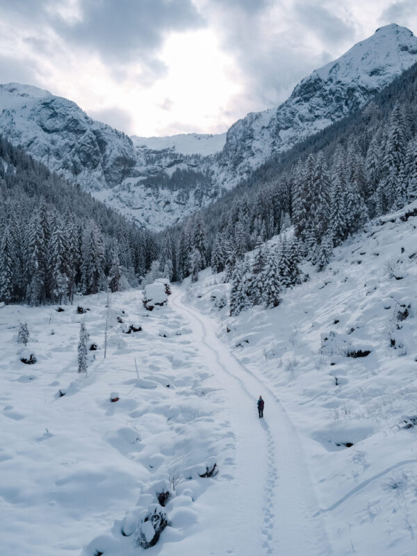 Wintermomente, die bleiben